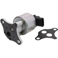 AGR Ventil HELLA 6NU 010 171-071 AGR Ventil HELLA 6NU 010 171-071 von Hella