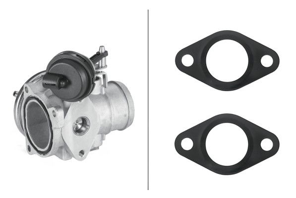AGR-Ventil Hella 6NU 010 171-311 AGR-Ventil Hella 6NU 010 171-311 von Hella