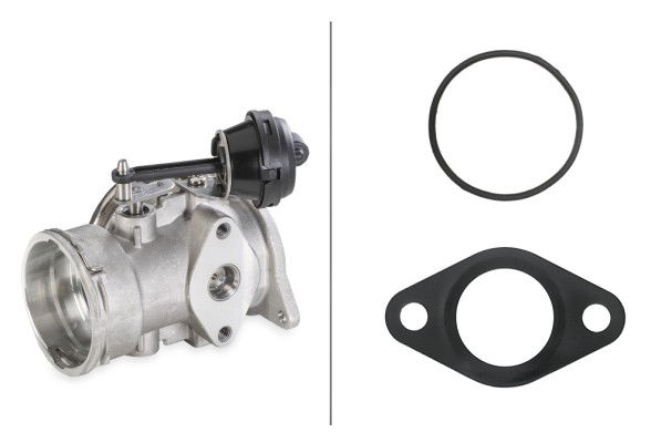 AGR-Ventil Hella 6NU 010 171-641 AGR-Ventil Hella 6NU 010 171-641 von Hella