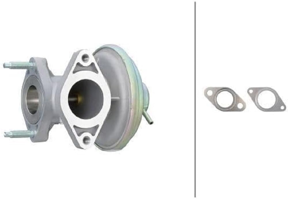 HELLA 6NU 014 865-541 AGR-Ventil - pneumatisch - mit Dichtungen von Hella