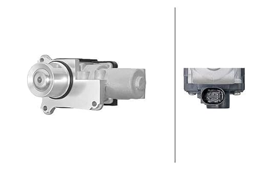 HELLA 6NU 014 865-751 AGR-Ventil - 12V - elektrisch - 5-polig - mit Dichtung von Hella