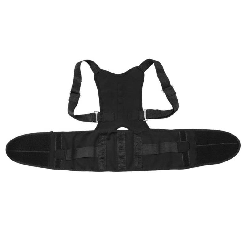 HELLA 8AW 355 533-951 Radbremszylinder - AW3395 von Hella