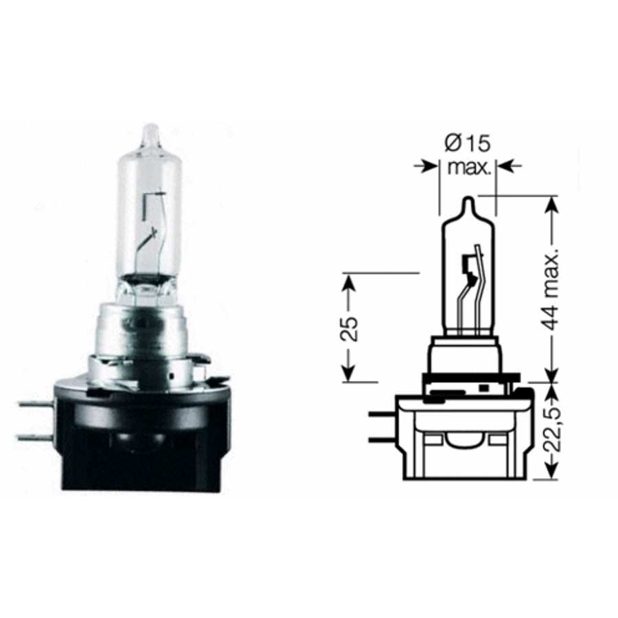 Hauptscheinwerferglühlampe H9B PGJY-5, 1 Stück von Hella