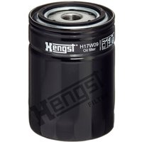 Luftfilter, Kompressor-Ansaugluft HENGST FILTER H17W09 von Hengst