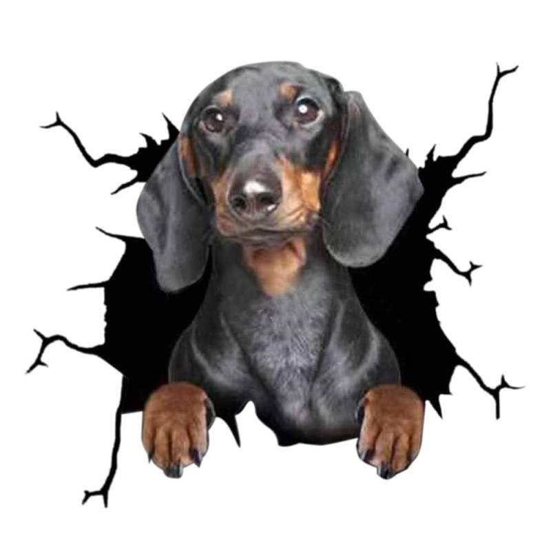 4er Set 3D Hund Aufkleber Autoaufkleber, Lustiger Hund im Riss Vinyl Auto Dekoration, Wandaufkleber Für Autofenster Stoßfänger Lustige Deko Styling Süß Decal Heckscheibendekor von Herbests