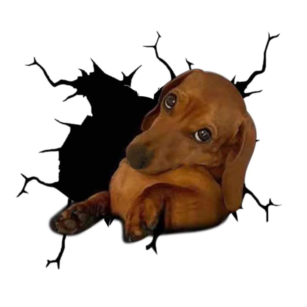 4er Set 3D Hund Aufkleber Autoaufkleber, Lustiger Hund im Riss Vinyl Autoaufkleber Wandaufkleber Auto Dekoration Für Autofenster Stoßfänger Lustige Deko Styling süß Hund Decal Heckscheibendekor Dekor 4er Set 3D Hund Aufkleber Autoaufkleber, Lustiger Hund im Riss Vinyl Autoaufkleber Wandaufkleber Auto Dekoration Für Autofenster Stoßfänger Lustige Deko Styling süß Hund Decal Heckscheibendekor Dekor von Herbests