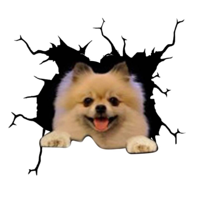 4er Set 3D Hund Aufkleber Autoaufkleber, Lustiger Hund im Riss Vinyl Wandaufkleber, Auto Dekoration Für Autofenster Stoßfänger, Lustige Deko Styling Süß Decal Heckscheibendekor von Herbests