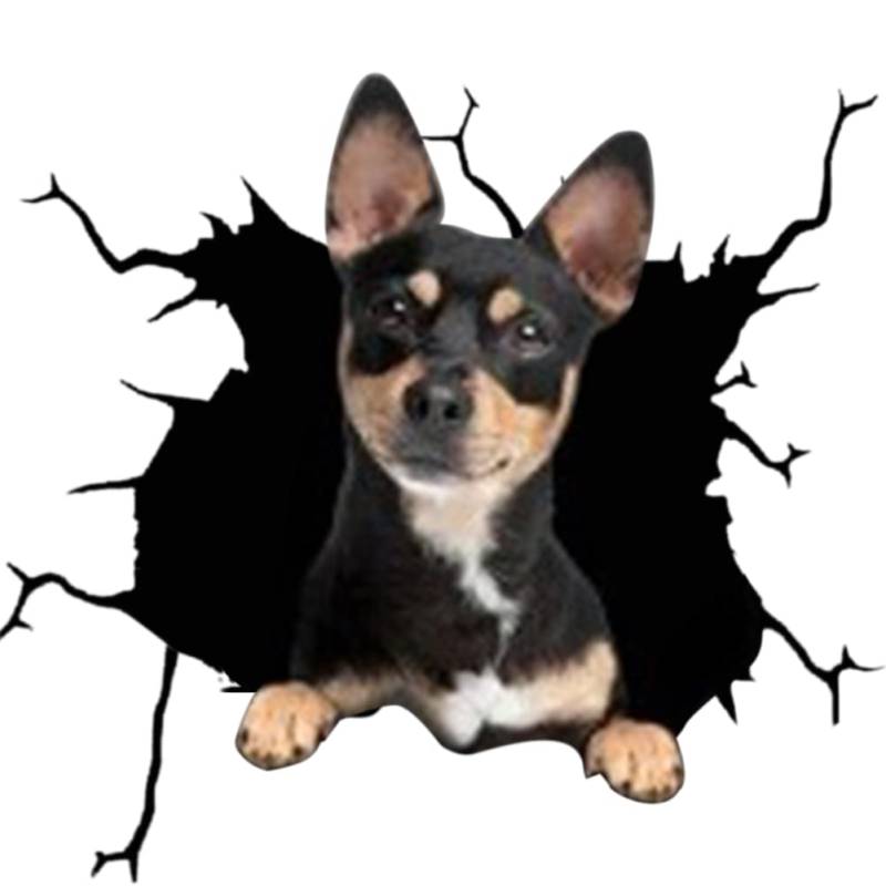 4er Set 3D Hund Aufkleber, Lustiger Hund im Riss Vinyl Autoaufkleber, Wandaufkleber Auto Dekoration Für Autofenster Stoßfänger, Lustige Deko Styling Süß Decal Heckscheibendekor von Herbests
