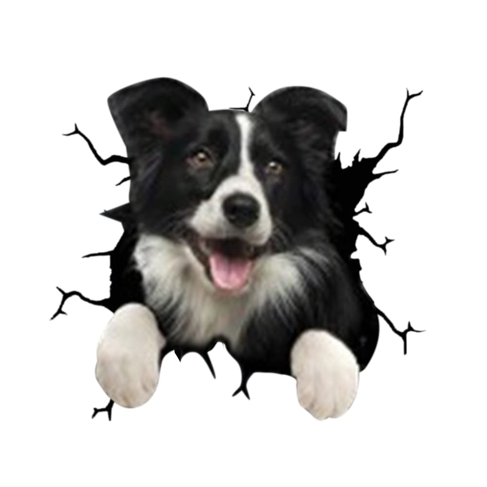 4er Set 3D Hund Aufkleber, Lustiger Hund im Riss Vinyl Autoaufkleber, Wandaufkleber Auto Dekoration Für Autofenster Stoßfänger, Lustige Deko Styling Süß Decal Heckscheibendekor 4er Set 3D Hund Aufkleber, Lustiger Hund im Riss Vinyl Autoaufkleber, Wandaufkleber Auto Dekoration Für Autofenster Stoßfänger, Lustige Deko Styling Süß Decal Heckscheibendekor von Herbests
