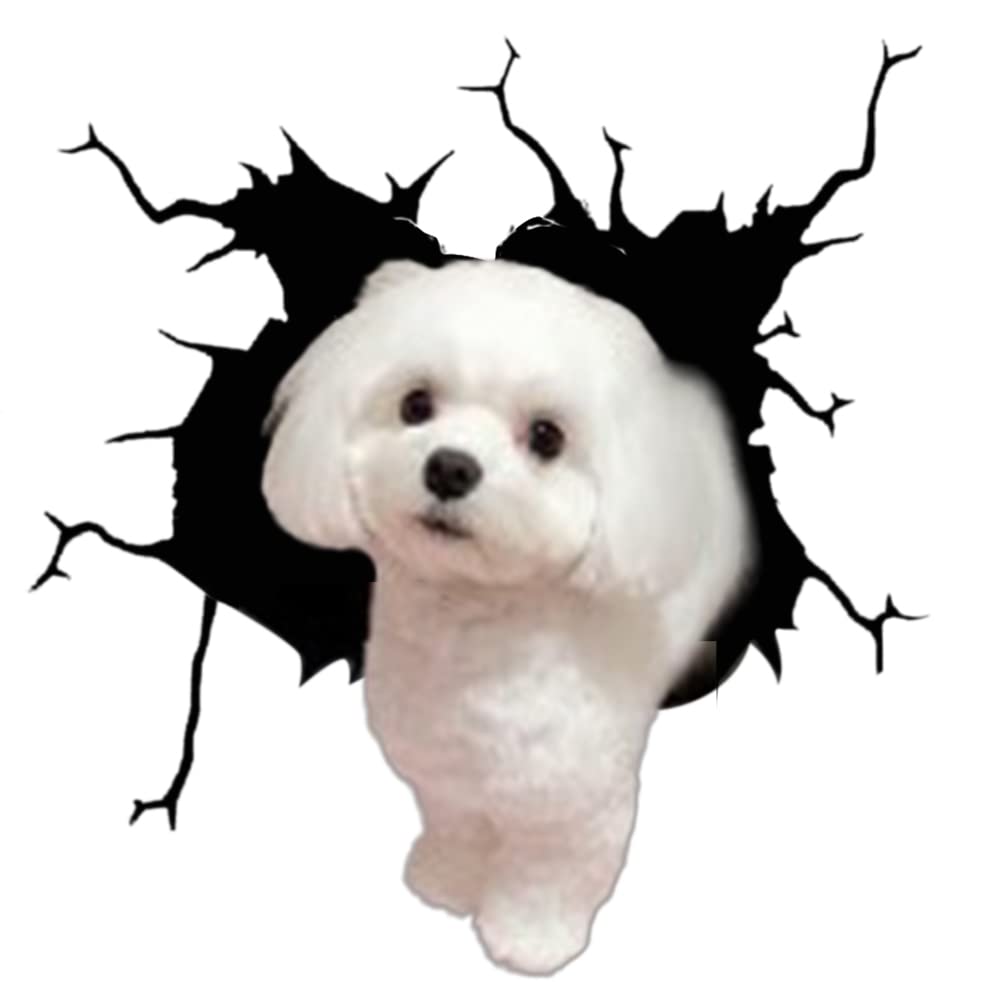 4er Set 3D Hund Aufkleber Autoaufkleber, Lustiger Hund im Riss Vinyl Autoaufkleber Wandaufkleber Auto Dekoration Für Autofenster Stoßfänger Lustige Deko Styling süß Hund Decal Heckscheibendekor Dekor 4er Set 3D Hund Aufkleber Autoaufkleber, Lustiger Hund im Riss Vinyl Autoaufkleber Wandaufkleber Auto Dekoration Für Autofenster Stoßfänger Lustige Deko Styling süß Hund Decal Heckscheibendekor Dekor von Herbests