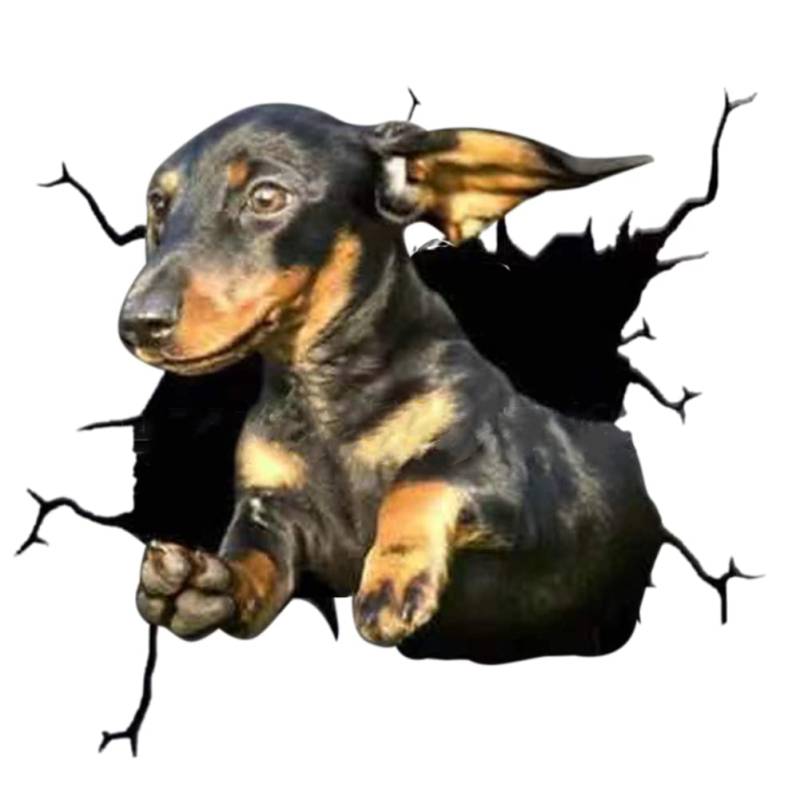 4er Set 3D Hund Aufkleber Autoaufkleber, Lustiger Hund im Riss Vinyl Autoaufkleber Wandaufkleber Auto Dekoration Für Autofenster Stoßfänger Lustige Deko Styling süß Hund Decal Heckscheibendekor Dekor von Herbests