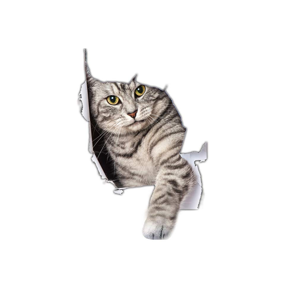 Realistic 3D Katze Autoaufkleber,Tier Lustige Aufkleber Dekorativer Wasserdichter Autofensteraufkleber Motorhaube Sticker Riss Vinyl Katze Aufkleber Auto Dekoration Styling Aufkleber Für Stoßfänger Realistic 3D Katze Autoaufkleber,Tier Lustige Aufkleber Dekorativer Wasserdichter Autofensteraufkleber Motorhaube Sticker Riss Vinyl Katze Aufkleber Auto Dekoration Styling Aufkleber Für Stoßfänger von Herbests