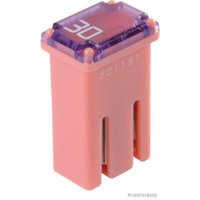 Sicherung HERTH+BUSS ELPARTS 50295355 Sicherung HERTH+BUSS ELPARTS 50295355 von Herth+Buss Elparts