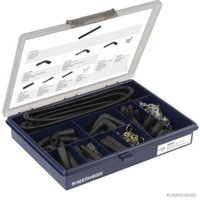 Sprühanlageelemente HERTH+BUSS ELPARTS 54271035 Sprühanlageelemente HERTH+BUSS ELPARTS 54271035 von Herth+Buss Elparts