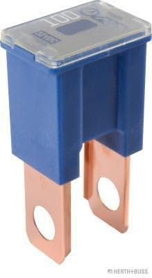 Herth+Buss Jakoparts 50295449 Sicherungen 100 A, Blau Herth+Buss Jakoparts 50295449 Sicherungen 100 A, Blau von Herth+Buss