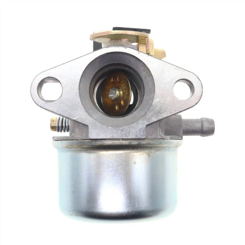 498965 Vergaser für BRIGGS & STRATTON 498965 494216 493422 494971 Rasenmäher Vergaser von Hippotech