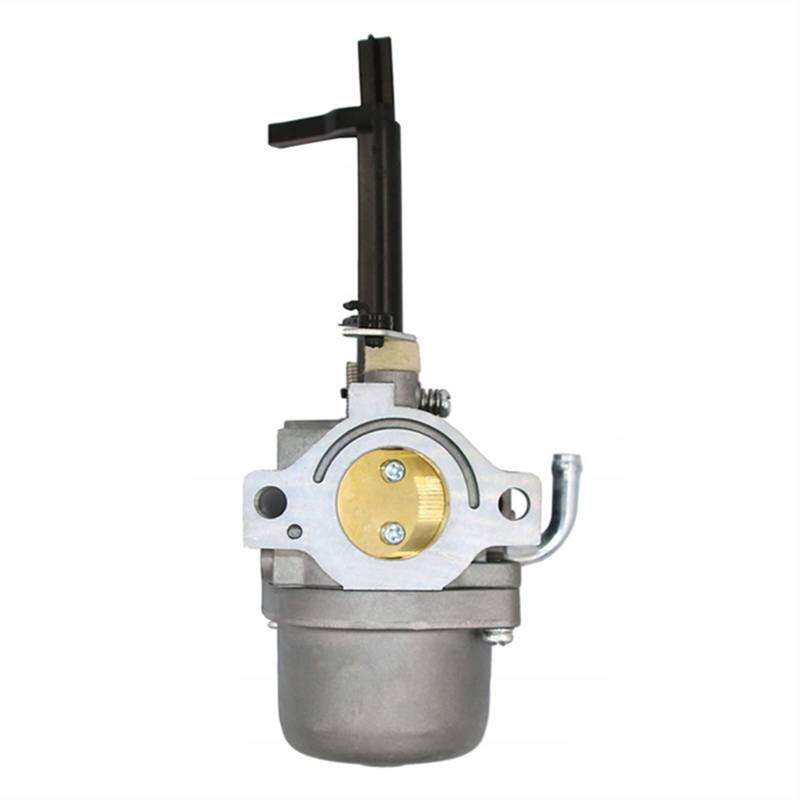 796321 591378 Vergaser für Briggs & Stratton Schneefräse 696132 696133 796322 697351 699958 699966 698455 695918 Generator von Hippotech