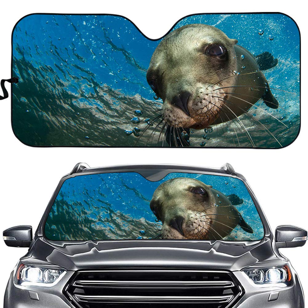Hixingo Auto Frontscheibe, 3D Funny Tier Ozean Motiv Sonnenschutz für Windschutzscheibe, Frontscheibenabdeckung, Faltbares Design Auto Sonnenschutz, UV-Schutz, für meisten Autos (Seelöwe) von Hixingo