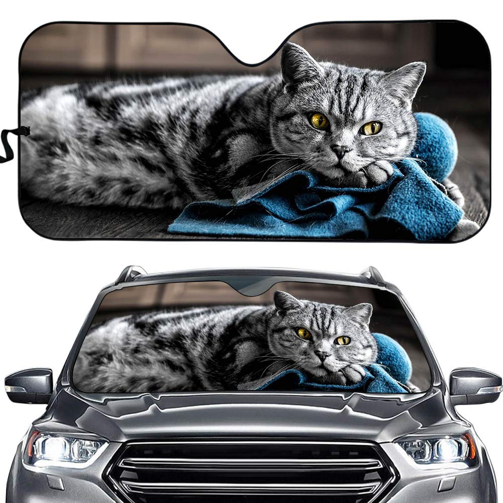 Hixingo Auto Frontscheibe, 3D Tier Katze Motiv Sonnenschutz für Windschutzscheibe, Frontscheibenabdeckung, Faltbares Design Auto Sonnenschutz, UV-Schutz, für meisten Autos (Tabby-Katze) von Hixingo