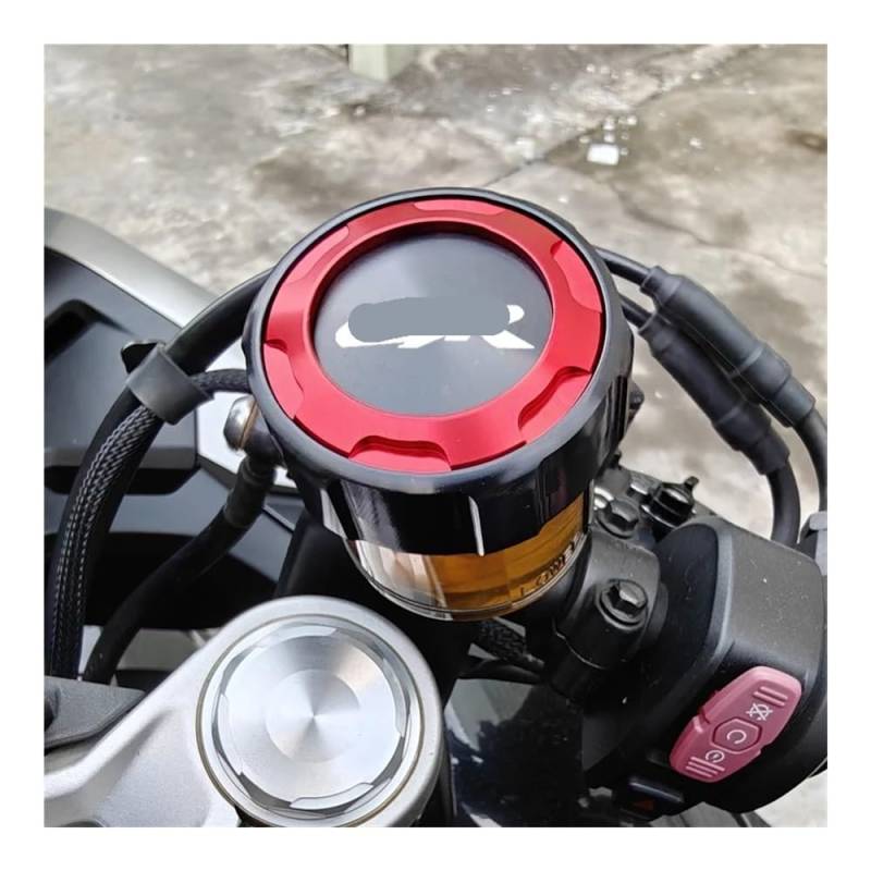 Hjiaodq Hinten Schutzabdeckung Für CBR1000RR Für CBR1000 RR Für CBR 1000 RR 2004-2018 2019 Vorderer Und Hinterer Brems Tankdeckel Und Einfüll Deckel Schutzzu Behör(Gray) von Hjiaodq