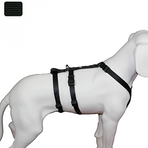 Das Original - NoExit Hundegeschirr ® - Zweiter Bauchgurt abnehmbar, Sicherheitsgeschirr für Pflegehunde, Panikgeschirr, No Escape - Unifarben Schwarz, Bauchumfang 40-60 cm, Sicherheitsgeschirr für Pflegehunde , Panikgeschirr, 15 mm Bandbreite, made in Germany von Hoffmann