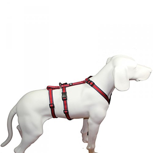 NoExit Hundegeschirr® - ausbruchssicher, Panikgeschirr, rot Muster, Bauchumfang 60-80 cm, 25 mm Bandbreite von Hoffmann