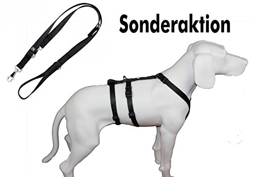 Original NoExit Hundegeschirr® - 100 % ausbruchssicher + stabile, passenende Führleine (210 cm) - Sonderaktion - 10 % Rabatt gegenüber Einzelkauf - Bauchumfang 60-80 cm, 25 mm Bandbreite, uni schwarz von Hoffmann