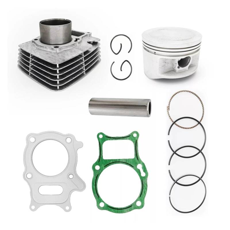 liwei Store Kolben Cylinderkit for 1997-2019 Kompatibel Mit Honda TRX250 68,5mm 12100-HN6-000 von Hogen