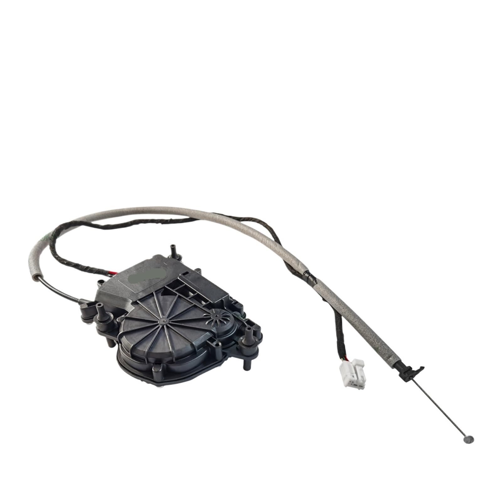 liwei Store Kompatibel mit BMW F31 F34 F36 316d 316i Kofferraumdeckel-Zentralverriegelung 51247269516 51244899587 4899587 7269516 liwei Store Kompatibel mit BMW F31 F34 F36 316d 316i Kofferraumdeckel-Zentralverriegelung 51247269516 51244899587 4899587 7269516 von Hogen