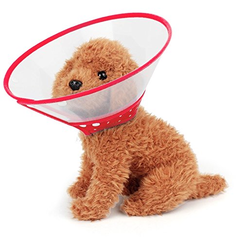 HongGXD Mode Elizabeth Hundehalsband Kopfbedeckungen Ruff Trichter Abdeckung Anti Biss Lick Sicherheit Praktische Hals Schutz, Größe: M, Geeignet für Hals 20-26 cm (Color : Red) von HongGXD