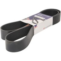 Keilrippenriemen HUTCHINSON 1580 K 12TK von Hutchinson