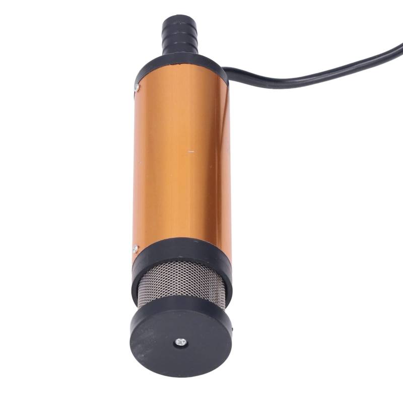 Elektrische Mini -Ölpumpe mit Filter DC 12 V für Wasserbrennstoff Dieseltransfer Tragbar - Zuverlässige Verwendung für und Wasser Metallschale Langlebige Haltbarkeit Vereinfachte Arbeiten von Hztyyier