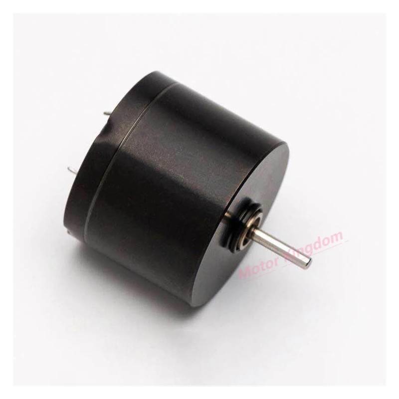 20mm*16mm Coreless DC electronic starter 12V 12000RPM High Speed Engine for Tattoo Machine IDGTTLDF von IDGTTLDF
