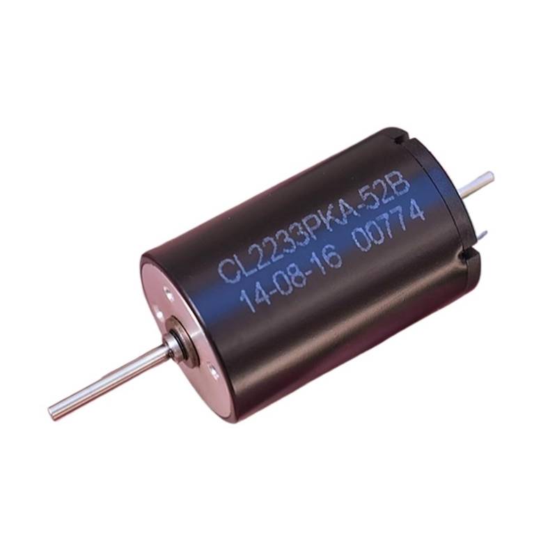 CL2233 22mm*33mm Big Coreless electronic starter 5-Pole Rotor Large Torque DC 24V 36V 60V Dual Shaft Strong NdFeB Magnetic electronic starter IDGTTLDF von IDGTTLDF