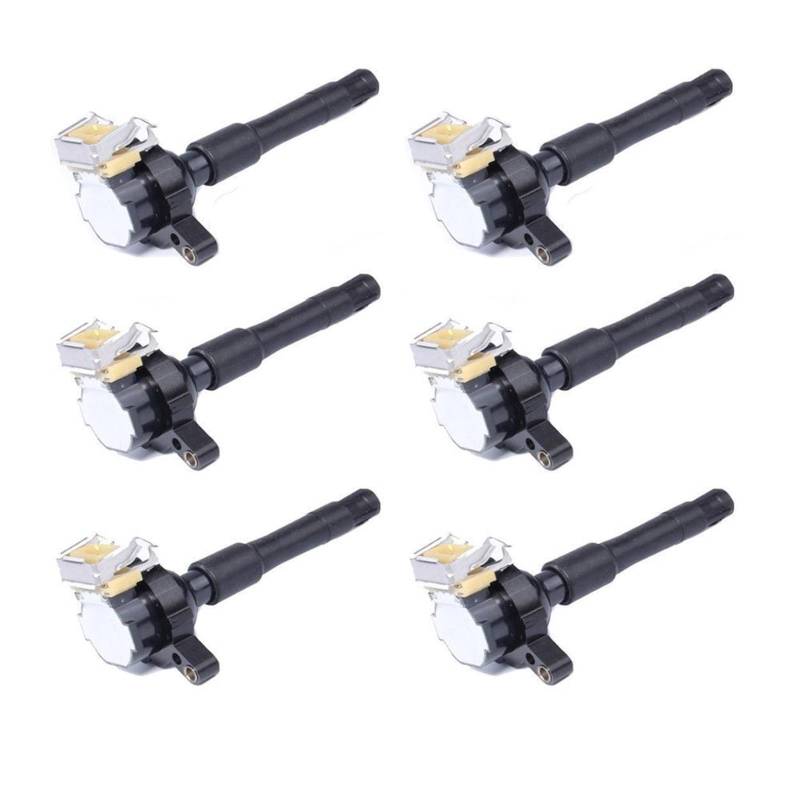 6 stück Zündspule O-EM Kompatibel Mit B-MW E36 E38 E39 E46 530i 840ci / 850ci M3 M5 X5 0221504004 0221504029 12131703825 12131748018 von IEJPEQWW