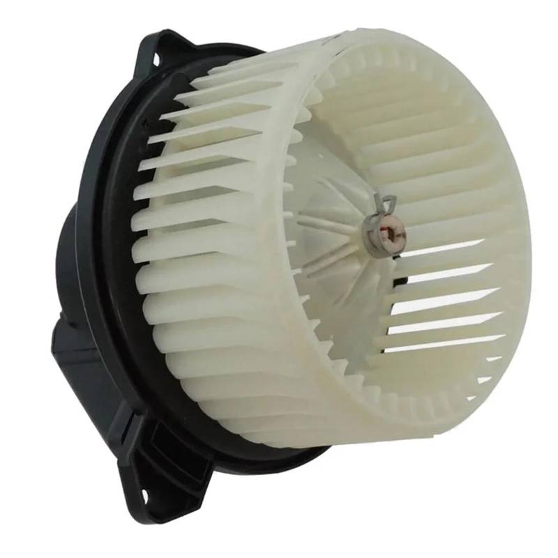 A/C-Heizgebläsemotor mit Lüfterkäfig, kompatibel mit Dodge Ram 1500 03–09, kompatibel mit Ram 2500, kompatibel mit Jeep 02–08 von IEJPEQWW