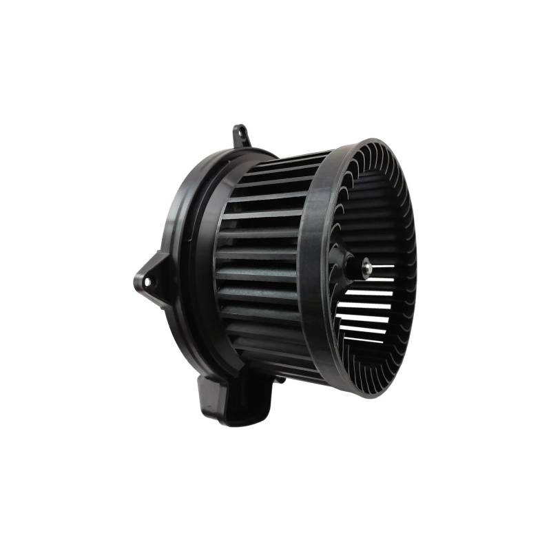 HVAC Heizung Gebläsemotor mit Lüfter Kompatibel für Benz W164 X164 W251 GL350 GL450 GL500 ML320 ML350 R350 ML500 ML550 1648350307 von IEJPEQWW