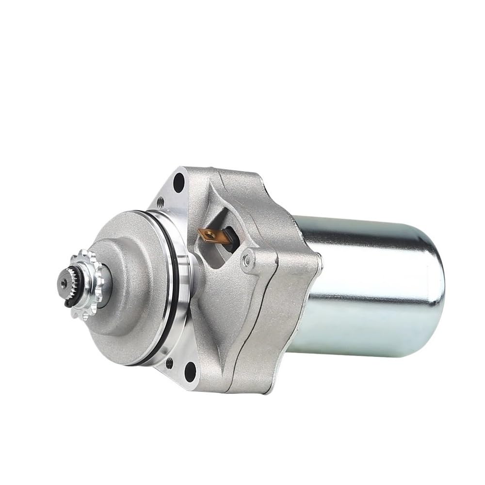 12 -V -Elektrostartermotor Kompatibel mit 4 Wheeler und ATVs kompatibel mit 50 -cm3 12 -V -Elektrostartermotor Kompatibel mit 4 Wheeler und ATVs kompatibel mit 50 -cm3 von IJOSADON