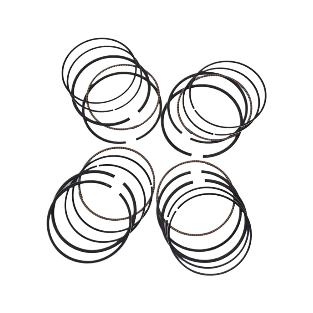 STD 67 mm Motorrad-Kolben- und Ring-Set, kompatibel mit CBR600 CBR 600 F4 1999–2000, CBR600 F4I 2001–2006, CBR600RR F5 2003–2006 STD 67 mm Motorrad-Kolben- und Ring-Set, kompatibel mit CBR600 CBR 600 F4 1999–2000, CBR600 F4I 2001–2006, CBR600RR F5 2003–2006 von IJOSADON