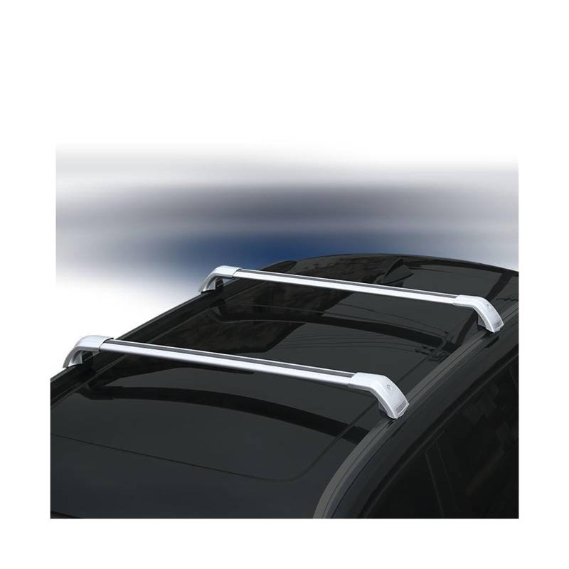2-teilige Dachträger kompatibel mit Hyundai Palisade 2019–2021, Seitenträger aus Aluminiumlegierung, Querschienen, Dachgepäckträger(Silver) von IKQSVKQR