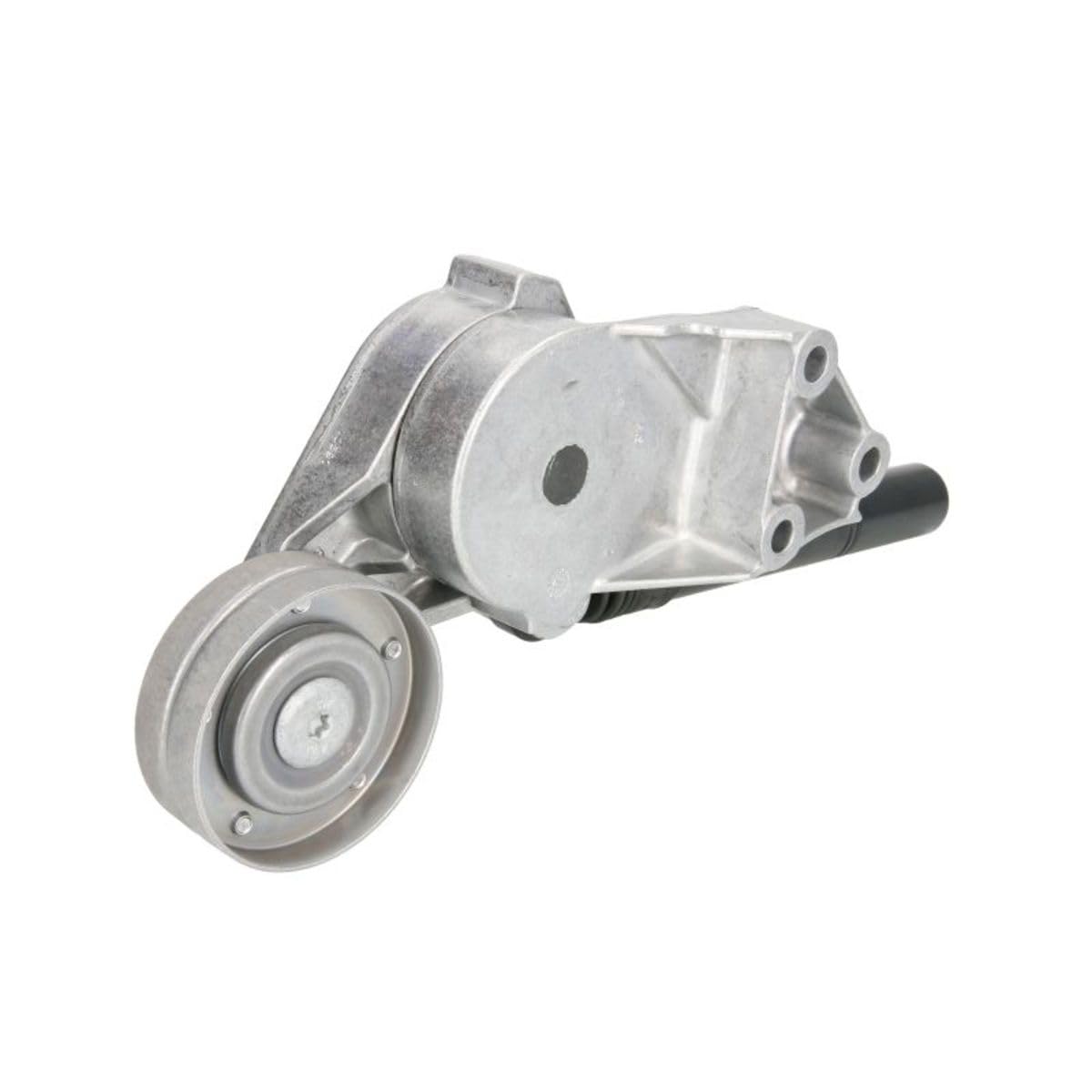 INA 533 0081 30 Spannarm, Keilrippenriemen INA 533 0081 30 Spannarm, Keilrippenriemen von INA