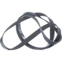 INA Keilrippenriemen FB 6PK1735 Rippenriemen VW,AUDI,BMW,Golf V Schrägheck (1K1),POLO (9N_),TOURAN (1T1, 1T2),GOLF VI (5K1),Polo Schrägheck (6R1, 6C1) von INA