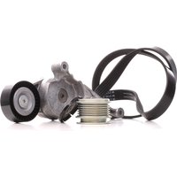 INA Keilrippenriemensatz mit Freilaufriemenscheibe 529 0469 20 VW,AUDI,FORD,Golf V Schrägheck (1K1),TOURAN (1T1, 1T2),Passat Variant (3C5) INA Keilrippenriemensatz mit Freilaufriemenscheibe 529 0469 20 VW,AUDI,FORD,Golf V Schrägheck (1K1),TOURAN (1T1, 1T2),Passat Variant (3C5) von INA