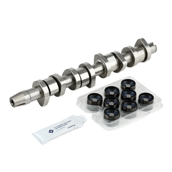 INA Nockenwellensatz VW,AUDI,FORD 428 0042 30 1426035,XM216500AA,038109309B 1100669,1100677,XM216251AA,XM216500BA,038109101R,038109309A,038109309C von INA