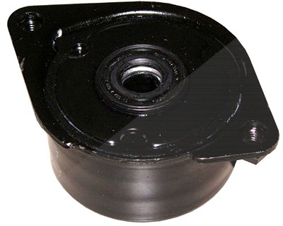 Schaeffler Ina Riemenspanner, Keilrippenriemen [Hersteller-Nr. 534017110] für BMW, Land Rover von Schaeffler INA