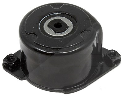 Schaeffler Ina Riemenspanner, Keilrippenriemen [Hersteller-Nr. 534017010] für BMW von Schaeffler INA