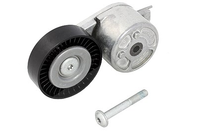 Schaeffler Ina Spannarm, Keilrippenriemen [Hersteller-Nr. 534041210] für Ford von Schaeffler INA