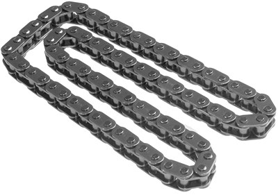 Schaeffler Ina Steuerkette [Hersteller-Nr. 553029010] für BMW von Schaeffler INA