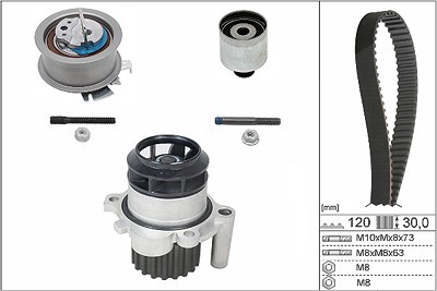 Ina Wasserpumpe + Zahnriemensatz [Hersteller-Nr. 530020130] für Audi, Seat, VW von INA