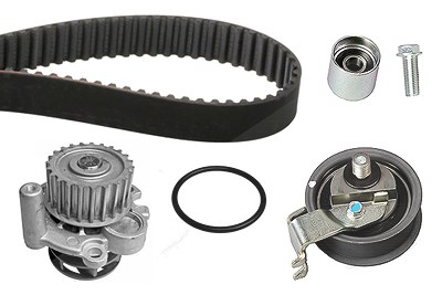 Schaeffler Ina Wasserpumpe + Zahnriemensatz [Hersteller-Nr. 530034430] für Audi, Seat, Skoda, VW von Schaeffler INA